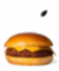 JUNK VEGGIE BURGER